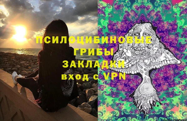 винт Белокуриха
