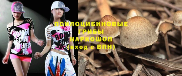 винт Богородицк